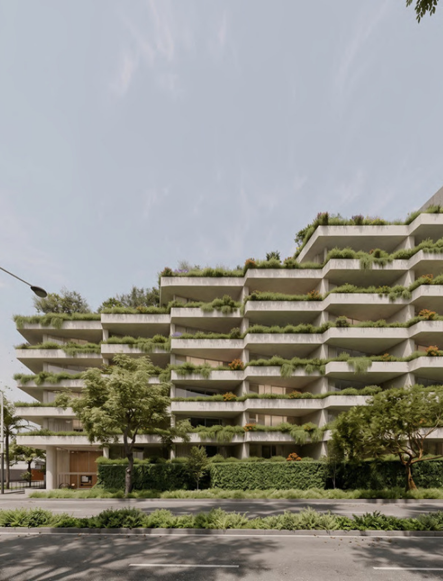 Proyecto Arbora